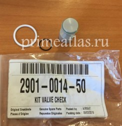 2901001450 kit valve check 1